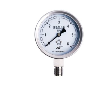 MENGCHUAN YE100BF Diaphragm Pressure Gauge (0-60kPa, Radial Connection) for Water, Air, Oil, Heating Pressure Testing & Mechanical Systems