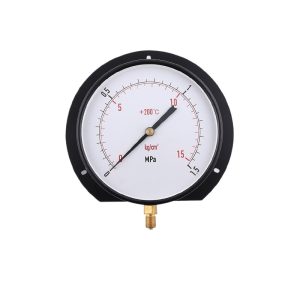 Electrophoretic Iron Case Radial Pressure Gauge (160mm) with Rear Flange for Industrial Applications, 0-1.5 MPa/kg/cm2, Customizable