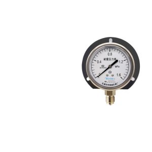 YN75T Shockproof Pressure Gauge (0-1.6MPa, 2.5 Accuracy) for Water Pressure & Air Pressure Systems