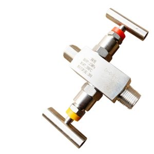 Two-Valve Manifold with Handles MAWP 25MPa MAWT 200°C Material 304 Stainless Steel for Pressure Transmitter EF-3