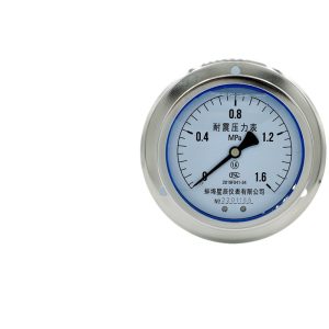 Axial Edge Shock-Resistant Pressure Gauge YN-100ZT Series (0-1.6 MPa, 100mm, Threaded Connection) for Water, Air, Hydraulic, and Liquid Pressure Systems