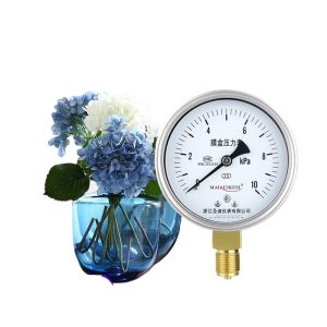Membrane Pressure Gauge YE100 Stainless Steel Case with 10kPa Measurement for HVAC Systems