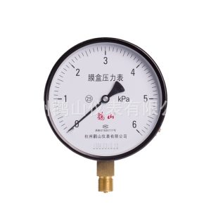 Membrane Box Pressure Gauge YE150 (0-60 KPA, 2.5 Accuracy) for Gas Systems
