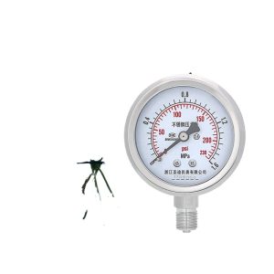 Y60BF Stainless Steel Pressure Gauge (0-1.6MPa, 2.5 Accuracy) for Water, Oil, Hydraulic Systems