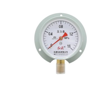 Hongqi Y-100T Radial Pressure Gauge, 1.6 Accuracy, M20*1.5 Connection, for Oil Water Gas Air Pressure Measurement
