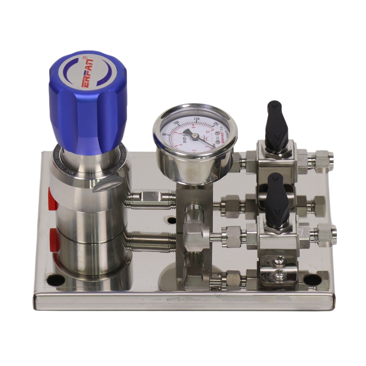 ERFAN EF-R11L-BV-1.0-00-00-2 Secondary Terminal Panel Pressure Reducing Valve for H2 O2 Corrosion Resistant 316L Stainless Steel 0-2.5 Bar Rated - Image 2