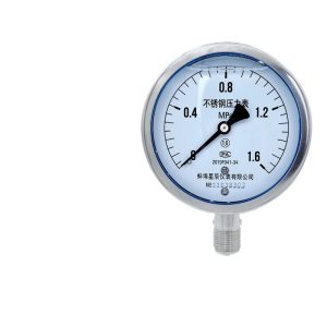 Stainless Steel Pressure Gauge YN-100BF (0-1.6 MPa, M20*1.5 Thread) for High Temperature & Acid-Alkali Environments