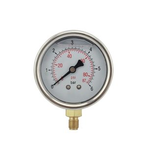 Stainless Steel Radial Pressure Gauge Y50 (0-6 bar/0-87 psi) for Industrial Systems, Replaces Y50 type pressure gauges