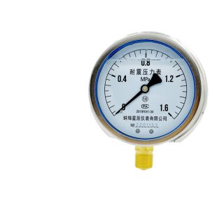 Durable YN-100T Series Shock-Resistant Pressure Gauge (0-1.6MPa) for Water, Gas, Oil, Hydraulic Systems