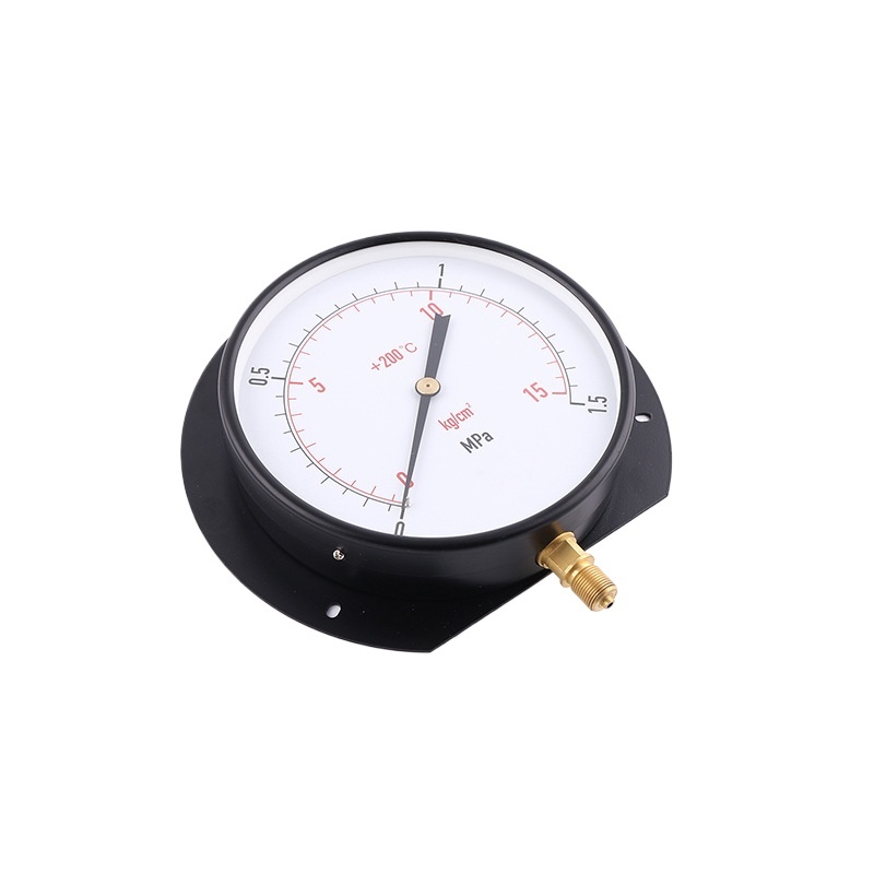 Electrophoretic Iron Case Radial Pressure Gauge (160mm) with Rear Flange for Industrial Applications, 0-1.5 MPa/kg/cm2, Customizable - Image 2