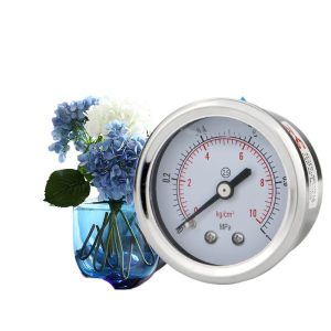 Axial Pressure Gauge YN50Z (0-1 MPa, 2.5 Accuracy) for Water, Oil, Hydraulic, Pneumatic Systems