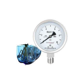 Stainless Steel Diaphragm Pressure Gauge YE100BF Micro-Pressure Matte with Thread Connection 0-10KPa 100mm Diameter for HVAC Systems