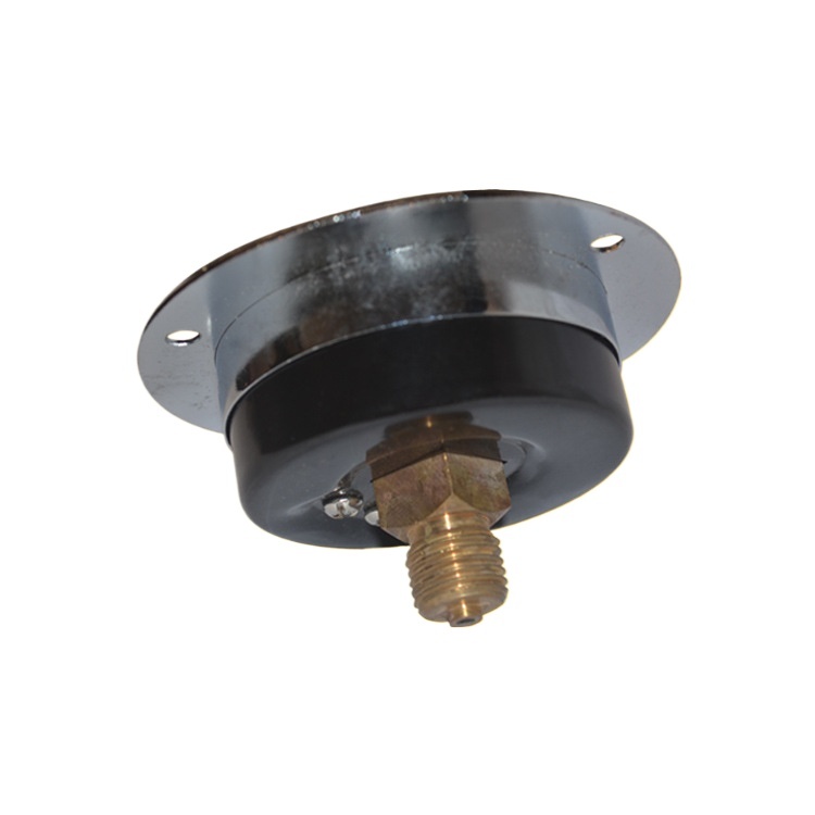 Axial Flanged Medical Pressure Gauge (0-0.4MPa, 2.5 Accuracy) for Steam Generators - Image 2