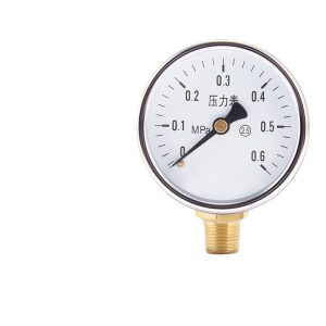 Y60 Stainless Steel Pressure Gauge (0-0.6MPa) for Hydraulic Water Air Pressure, Threaded Pointer Type