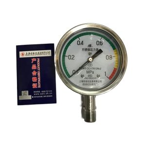 Shanghai Automation Instrumentation Stainless Steel Pressure Gauge Y-100BFZ (0-1 MPa, 1.6 Grade Accuracy) for HVAC Systems