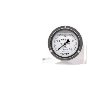Breidys YN100ZT Axial Pressure Gauge (0-1.6MPa) for Air, Water, Hydraulic, Vacuum Systems, Replaces Breidys Pressure Gauges