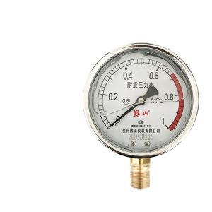 Durable YN100 Radial Pressure Gauge 0-1 MPa for Air Compressors, Glycerin Filled, Replaces Standard Pressure Gauges
