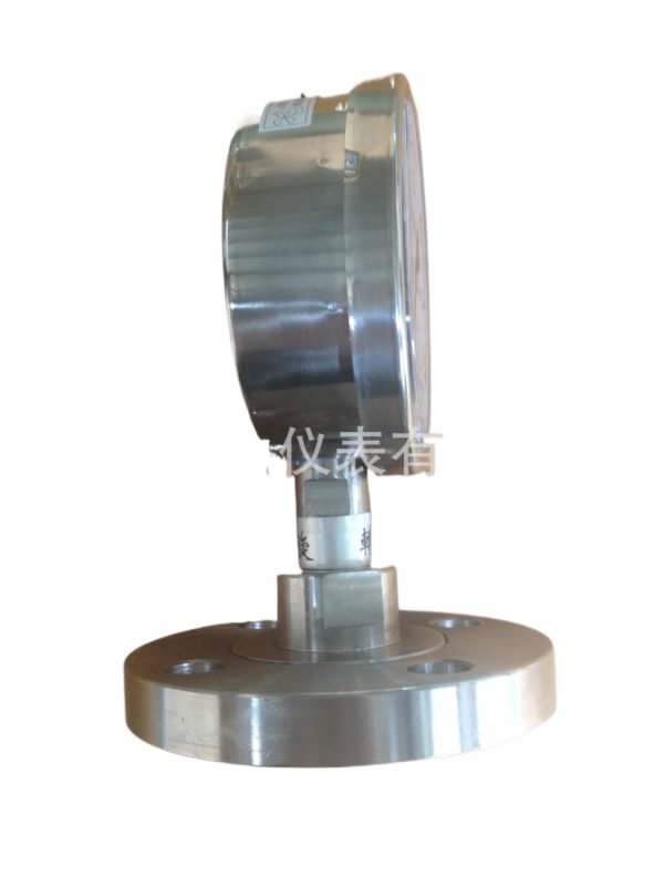 HVAC Diaphragm Pressure Gauge YN100BFMF DN25 (-0.1-0.6 MPa) with 316 Stainless Steel Diaphragm and Oil Filling, for Flange Connection HVAC Systems - รูปภาพ 2