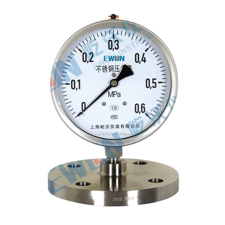 Ewon Stainless Steel Diaphragm Pressure Gauge YTP-100BF with Flange Mount DN25 for Industrial HVAC Systems, Replaces YTF-100H/MF - Image 5