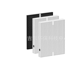 Replacement HEPA and Activated Carbon Filter for Brondell PR50-B Revive Air Purifier