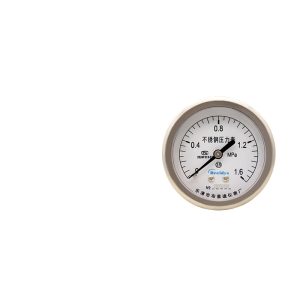 Breidys YNBF60Z Stainless Steel Pressure Gauge Axial Integrated Joint High Precision Acid Alkali Corrosion Resistant, 60mm Diameter, 2.5 Accuracy Class, 1.6 Mpa Maximum