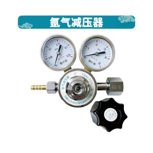 Argon Gas Pressure Regulator YQAr-731L (0-0.25 MPa / 0-25 MPa) with G5/8 Connection for Welding Applications