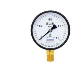 Axial Pressure Gauge Y100 (0-1.6 MPa, 1.6 Accuracy) for Water, Hydraulic, Oil, Air Systems