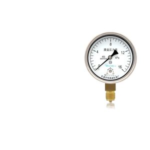 YEB100 Stainless Steel Diaphragm Pressure Gauge (100mm, 2.5 Accuracy) for Micro Pressure Measurement, Compatible with Gas Systems