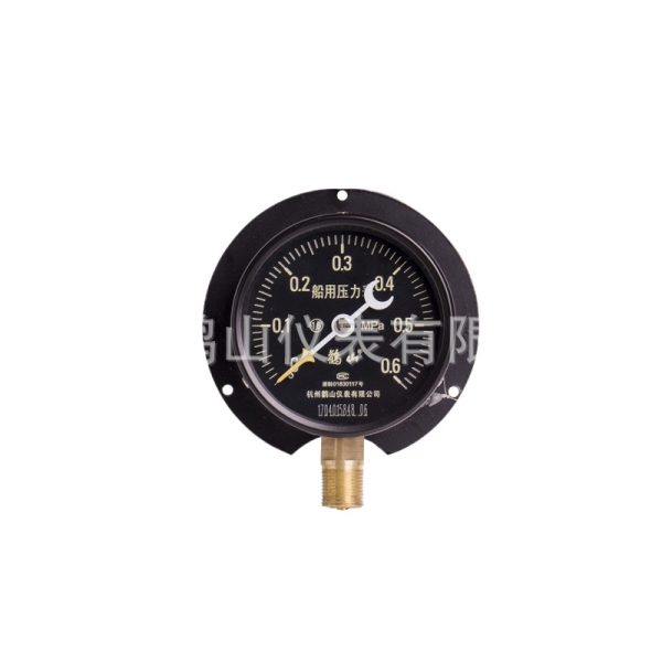 Industrial Marine Pressure Gauge 0-0.6 MPa (0-6 Bar) Radial Connection for HVAC Systems Replaces Y100T