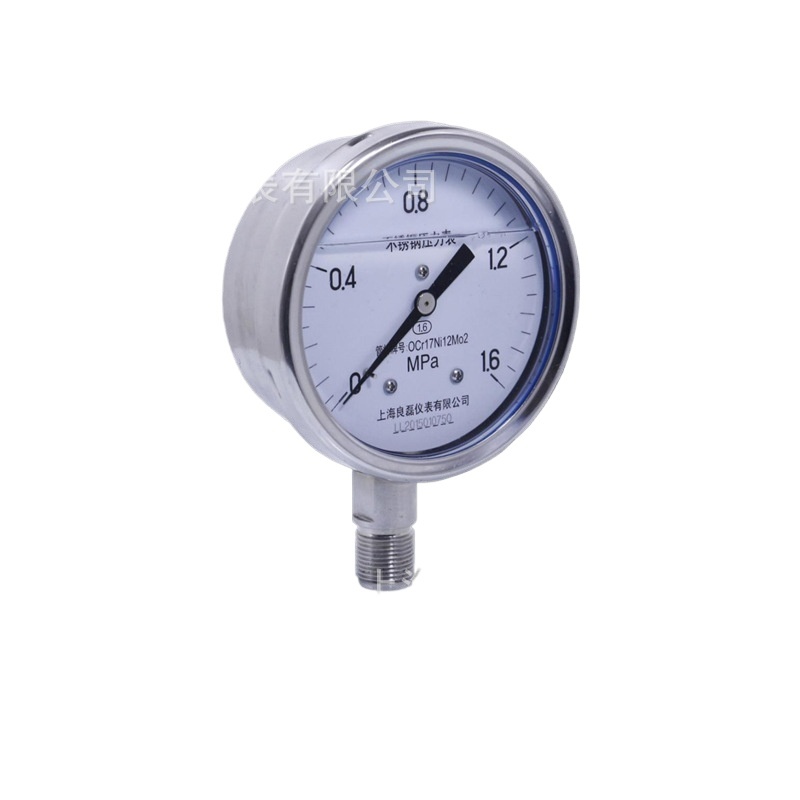 Lianglei Stainless Steel Pressure Gauge Y100-B-F-Z (0-1 MPa, OCr17Ni12Mo2) for HVAC Systems - Image 3