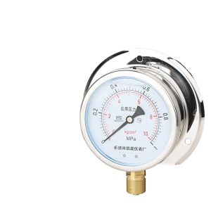 Durable Industrial Pressure Gauge (0-10 MPa, YN100T, M20*1.5 Thread) for Marine Systems, Stainless Steel Radial Mount