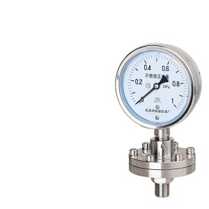Kaixuan Pressure Gauge Diaphragm Pressure Gauge Stainless Steel YTP100BF/ML Thread Connection Corrosion Resistant High Precision