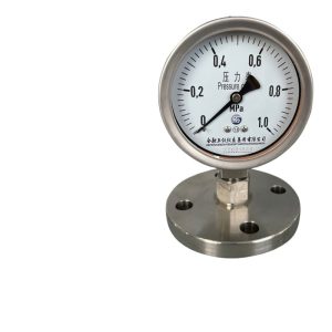 Shangyi Diaphragm Pressure Gauge Y-100BF-MF Stainless Steel Industrial Liquid Gas Pressure Gauge (0.0-1.0 MPa, DN25 Flange, Radial Connection) for Water, Air, Oil, Hydraulic Systems