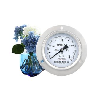 MAIRUIKESI Industrial Stainless Steel Pressure Gauge Y100ZTBF (0-1.6MPa, M20*1.5, 100mm Dial) for HVAC Water/Air Monitoring Replaces Y100BFZT