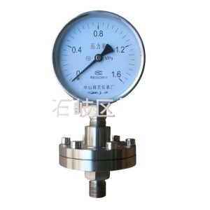 Stainless Steel Diaphragm Pressure Gauge YTP-100ML (0-1.6MPa, 1.6 Accuracy) with Threaded Connection, 100mm Dial