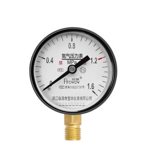 Provov Y-60 High Precision Nitrogen Pressure Gauge 60mm Diameter with Brass Connection and 0-1.6 MPa Range for HVAC Systems