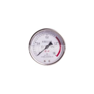 Durable Stainless Steel Axial Pressure Gauge (0-1.6 MPa, 100mm Dial, YN100BFZ) for HVAC Systems