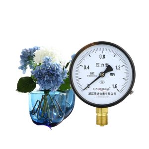 Radial Vacuum Pressure Gauge M20*1.5 Thread Y100 Stainless Steel Pressure Meter for Water Gas Oil