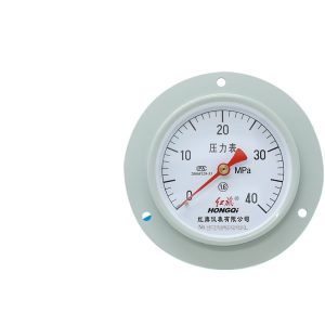 HONGQI Y-100ZT Axial Pressure Gauge with Flange, M20*1.5, 1.6% Accuracy, 100MM Diameter