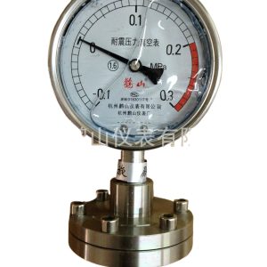 Full Stainless Steel Diaphragm Pressure Gauge YN100BF/ML Thread Connection Dampening Pressure Gauge 0-0.3 MPa (1.6 Class)