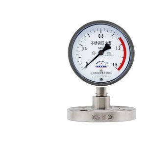 Yongyi Y100BFMF Radial Stainless Steel Pressure Gauge with DN25 Flange, 0-1.6 MPa, for Water, Liquid, Oil, and Gas Systems