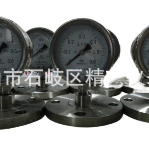 Stainless Steel Diaphragm Pressure Gauge YTP-100MF (0-0.6MPa, Flange Connection, 100mm Dial) for Industrial Applications