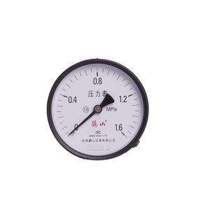 Axial Pressure Gauge Y100Z (0-1.6 MPa, 100mm Dial) for Water Systems & Air Tanks, Replaces 0019004