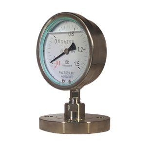 Stainless Steel Diaphragm Pressure Vacuum Gauge YZNB-100MF (-0.1 to 1.5 MPa) for Industrial Applications