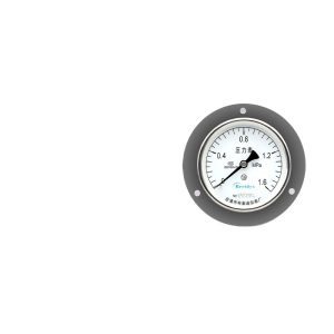 Axial Pressure Gauge Y100ZT (0-1.6MPa Accuracy 1.6) for Vacuum Packaging Machine & Hydraulic Systems Replaces Breidys Pressure Gauges