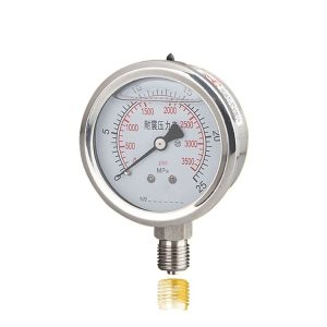 ZYLB.CN Stainless Steel Pressure Gauge YBN60 25MPA Vibration-Resistant Oil-Filled for HVAC Systems