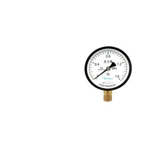 Breidys Y100 Pressure Gauge (0-1.6 MPa, 1.6 Precision) for HVAC Systems