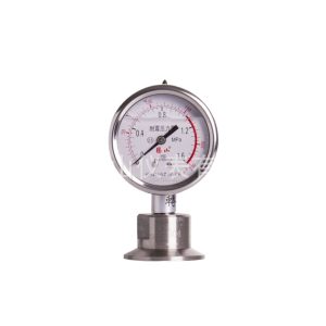 YNG63BF/NL Diaphragm Pressure Gauge (0-1.6 MPa, 2.5 MPa) for GMP-Grade Sanitary Applications