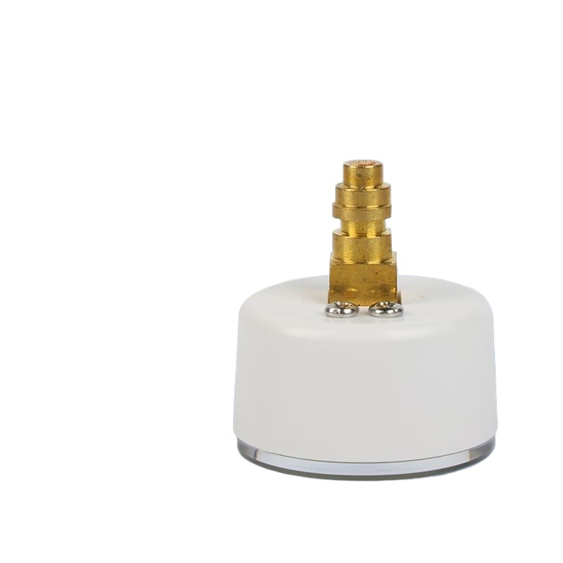 Luminous Dial Balloon Inflation Pressure Gauge 40mm Axial Plastic Shell, 0-40 ATM/PSI for Medical Applications - Image 3