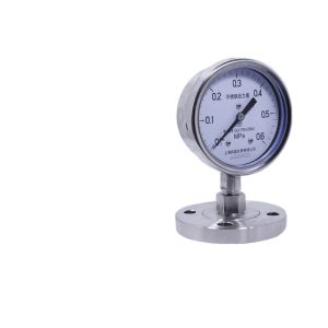 Y100-BF-MF Stainless Steel Diaphragm Pressure Gauge (0-0.6 MPa) for HVAC Industrial Applications, Threaded Connection